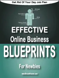 Effective-Online-Business-Blueprints Digital Business Insight