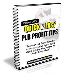 Qucik-and-Easy-PLR-Profit-Tips Digital Business Insight